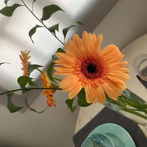  Appartement Eva Y Lola Espagne